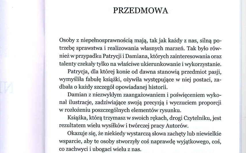 Read more about the article Sukces literacki – Książka „Nieustraszone”